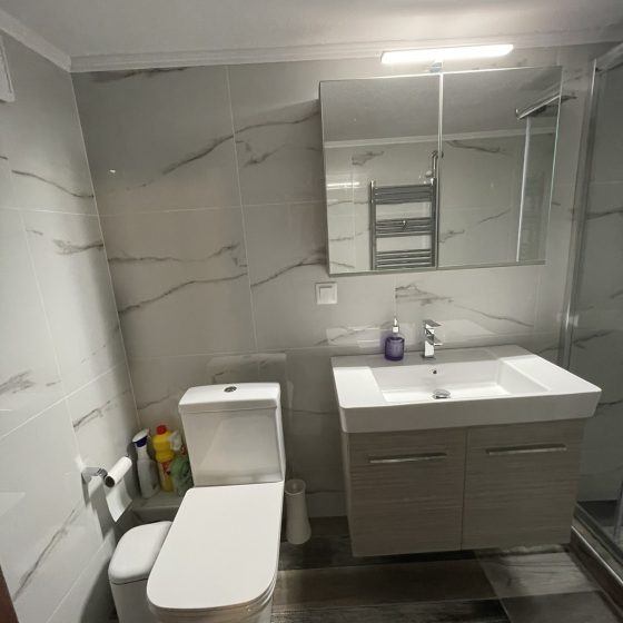 ανακαίνίση μπάνιου